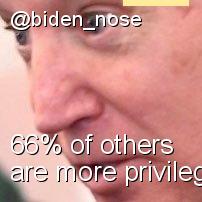 Intersectionality Score for @biden_nose
